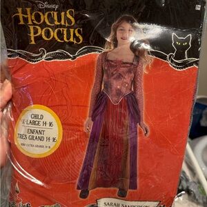 Disney Hocus Pocus Sarah Sanderson Costume - Red and Purple